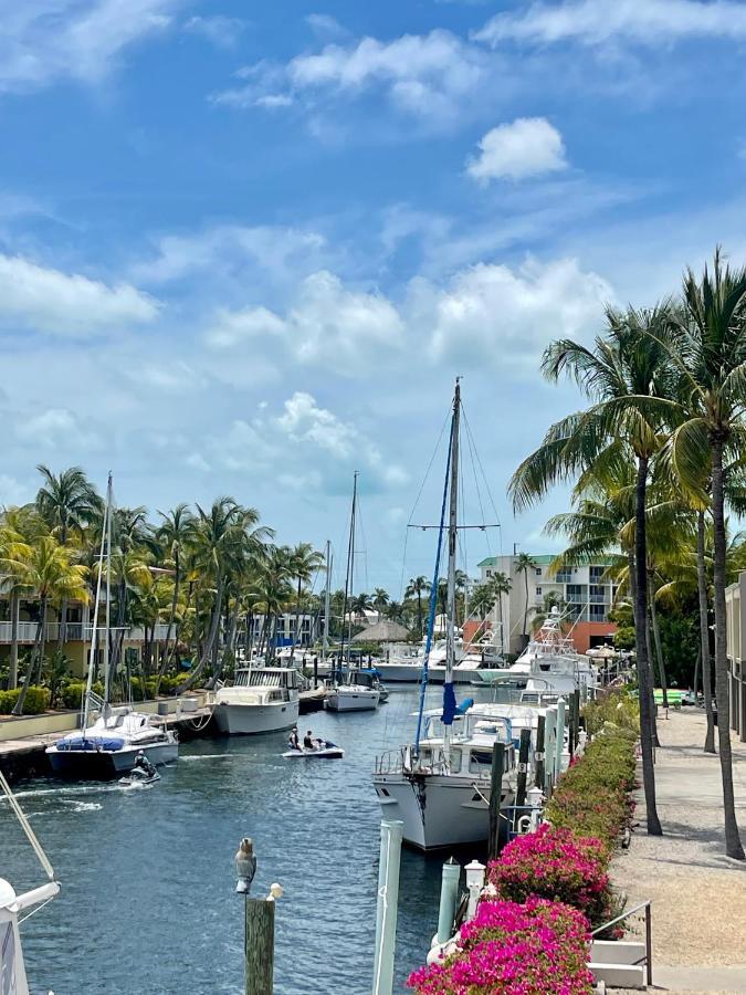 Dauboat Hotell Key Largo Exteriör bild